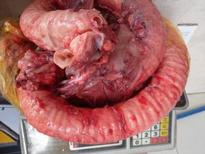 Món ăn ngon từ cuống họng bò có thể làm tại nhà